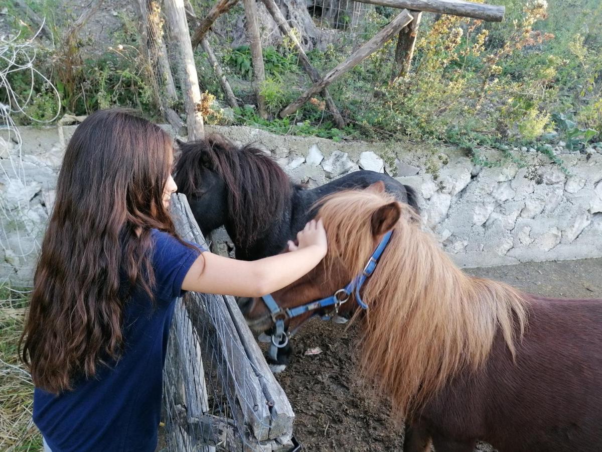 Agriturismo Valle Dei Gelsi Peschici Zewnętrze zdjęcie