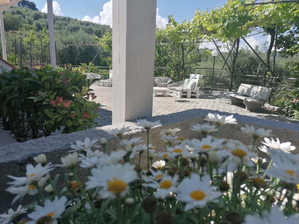 Agriturismo Valle Dei Gelsi Peschici Zewnętrze zdjęcie