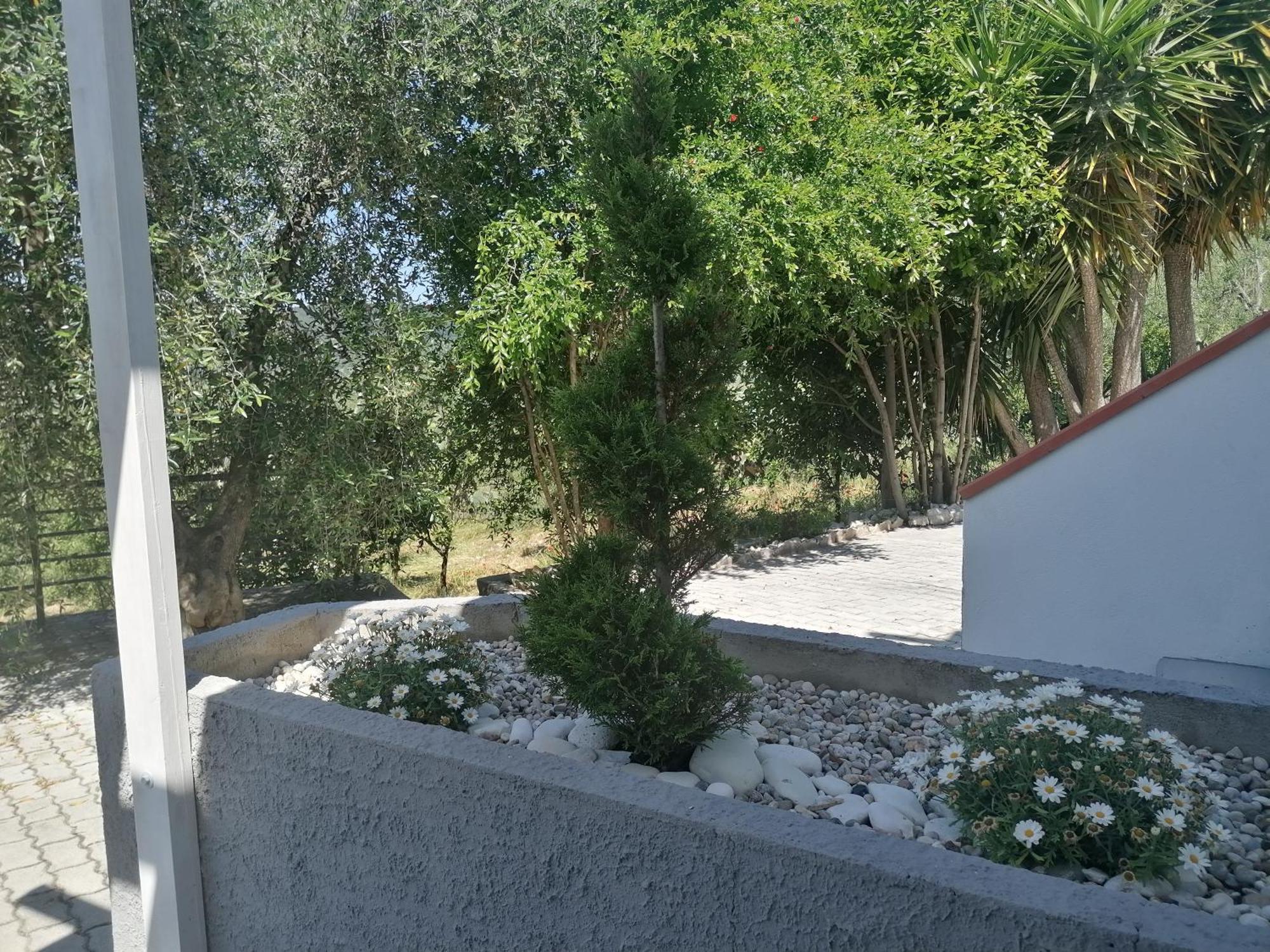 Agriturismo Valle Dei Gelsi Peschici Pokój zdjęcie
